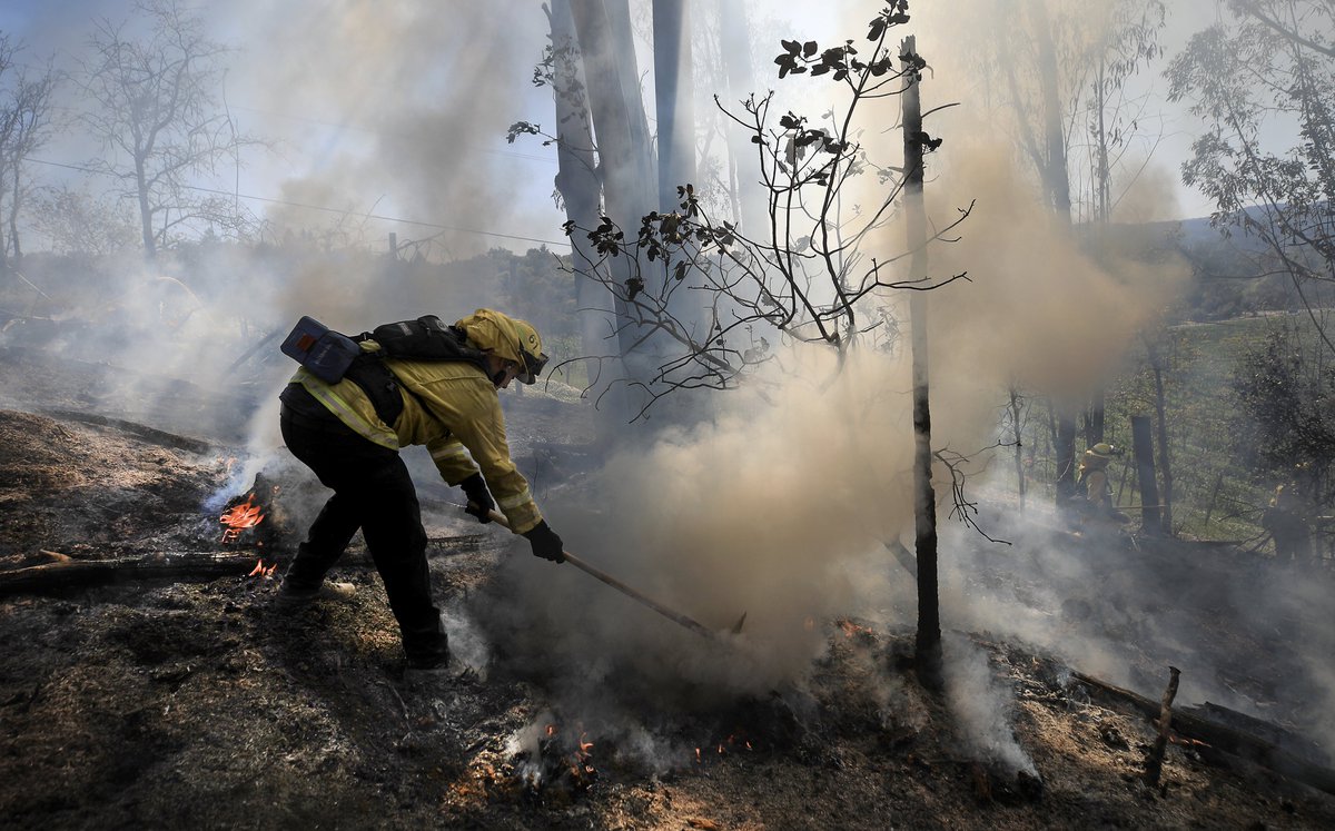 kentphotos's tweet photo. #CemeteryFire, Sonoma County is averaging 19-20" below average rainfall this water year and with a little wind, burn piles can get away. About 3/4 of an acre of eucalyptus caught fire after a burn pile spotted in to the grove. @NorthBayNews @NoSoCoFire @CAL_FIRE @HealdsburgFire https://t.co/Dqb1bpHyvg
