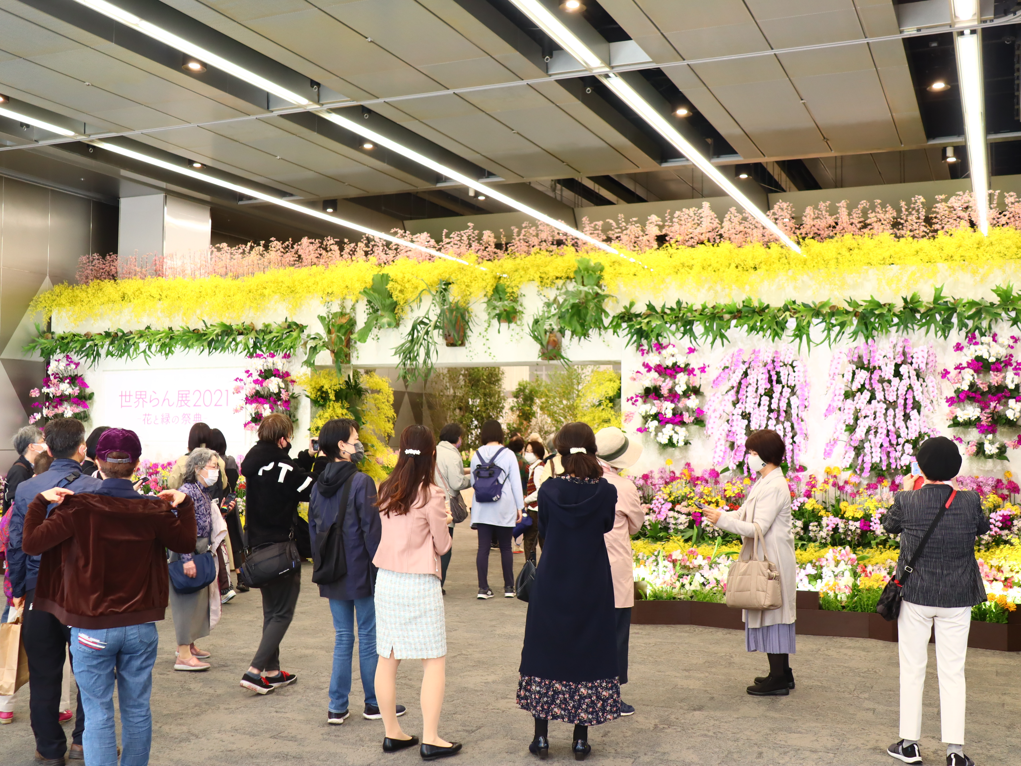 公式 世界らん展 花と緑の祭典 世界らん展21 3日目 世界らん展 21 3日目が始まりました 本日も夜9時まで元気にオープンしていますので ぜひ珍しい 蘭 を見にお越しくださいね 入場は事前予約制 当日チケットは公式サイトで販売してい