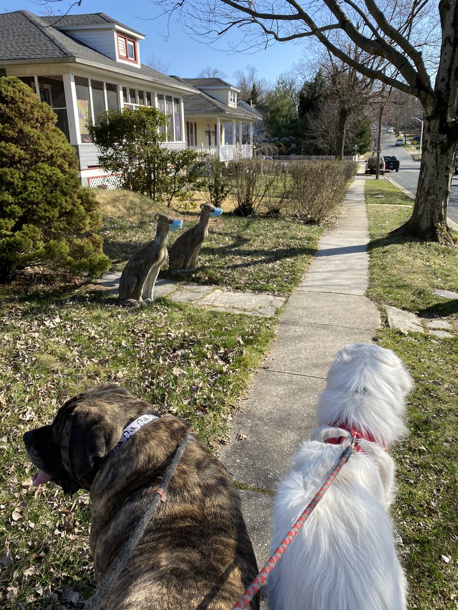 I love my <a href="/HamiltonHills/">Hamilton Hills</a> neighborhood so much. #quirky #Baltimore