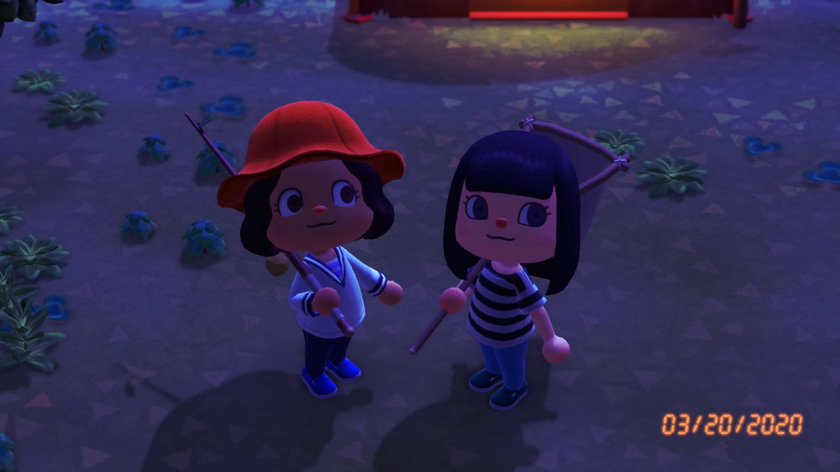 kxxnnx's tweet photo. #AnimalCrossing #ACNH #NintendoSwitch https://t.co/CYlxLfoj5M