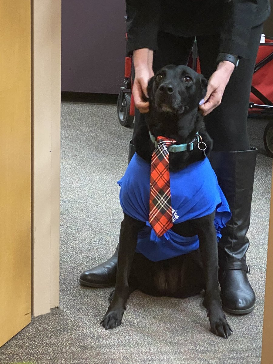 MollyDaPup's tweet photo. I really don’t like my work uniform...
.
Hey, @deecastillo, can I at least lose the tie?! https://t.co/TnRJLcvoIE