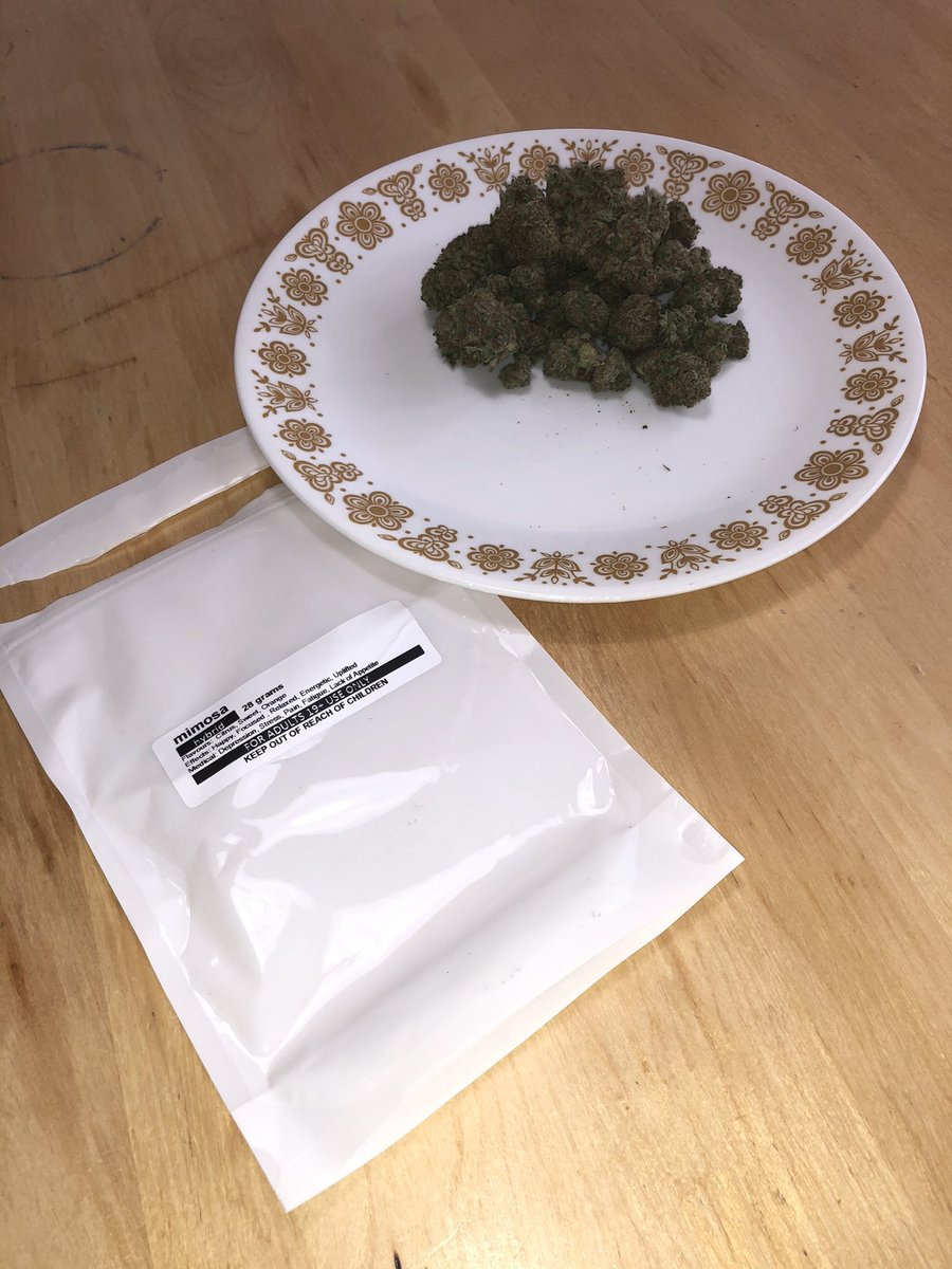 toker_tommy's tweet photo. Reviewing Mimosa ๐น flower supplied by yours truly, @HerbApproach ๐๐๐ โ I was incredibly happy with this pack, Iโve toked mimosa concentrate carts by #PyroExtracts so much that I had to get my hands on the real thing! So hereโs my review of the flower version ๐๐๐ https://t.co/kqBwleyfmm