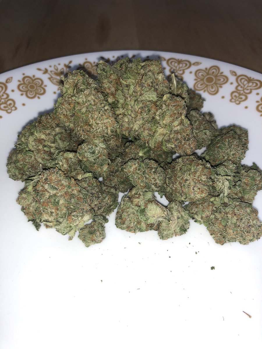 toker_tommy's tweet photo. Reviewing Mimosa ๐น flower supplied by yours truly, @HerbApproach ๐๐๐ โ I was incredibly happy with this pack, Iโve toked mimosa concentrate carts by #PyroExtracts so much that I had to get my hands on the real thing! So hereโs my review of the flower version ๐๐๐ https://t.co/kqBwleyfmm