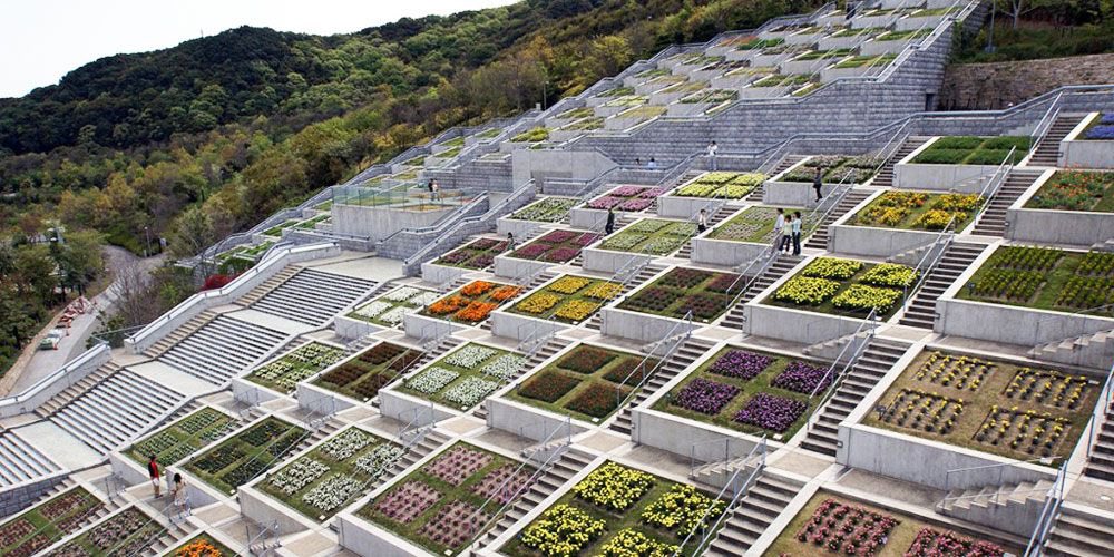 j__yli's tweet photo. Thinking about how I might consider cardio if I was at the 100 stepped cardio by Tadao Ando 😌 https://t.co/FXGL7SCwjO