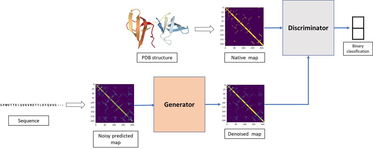 kiharalab's tweet photo. This week we have another paper accepted: " Protein Contact Map Refinement for Improving Structure Prediction Using Generative Adversarial Networks" for publication in Bioinformatics, @sai_ragh4, @GTerashi, Aashish Jain, Yuki Kagaya &amp; Kihara. https://t.co/4oZYXdMGD9
