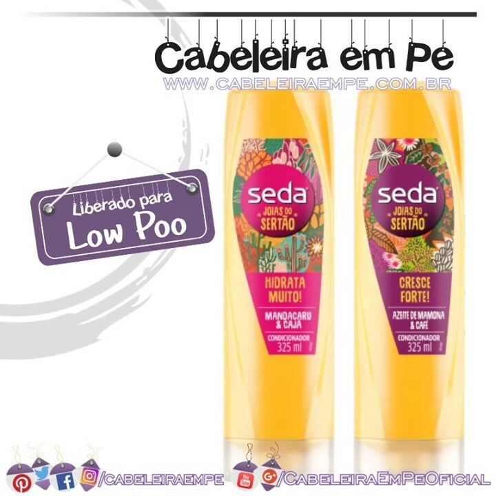 cabeleiraempe's tweet photo. Seda tem novos condicionadores inspirados em ingredientes da flora nordestina. A versão 'Hidrata Muito' tem extratos de mandacaru e cajá e a versão 'Cresce Forte' tem óleo de rícino e extrato de sementes de café.
#cabeleiraempe #lowpoo #livredepetrolatos #joiasdosertao … https://t.co/LI0jdDS3DO