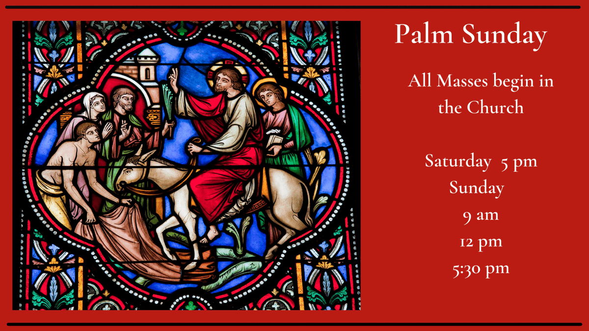 St. Bernadette Catholic Church (@stbernadetteca1) on Twitter photo 