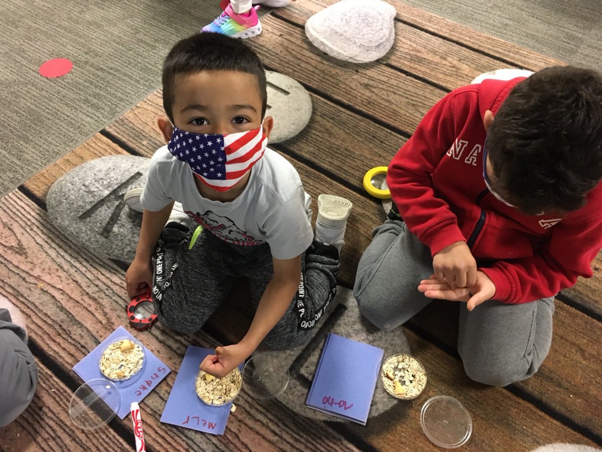 Mrs.Sutter-Hook Kindergarten Class tweet media