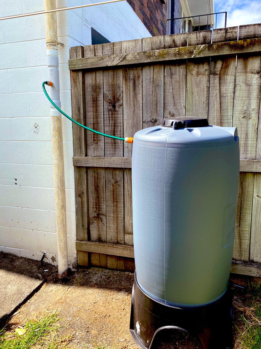 Fiona Millar tweet media