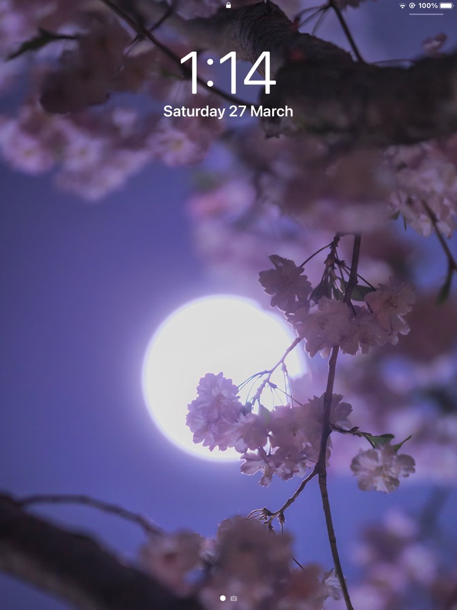 GlediBlog's tweet photo. @KAGAYA_11949 Amazing photos. 🤩I already used them as my background on my iPad. CREDITS TO @KAGAYA_11949 
HAPPY SPRING EVERYONE!!! 🌸🌸🌸🌸 https://t.co/0ja0Z7TiJ5