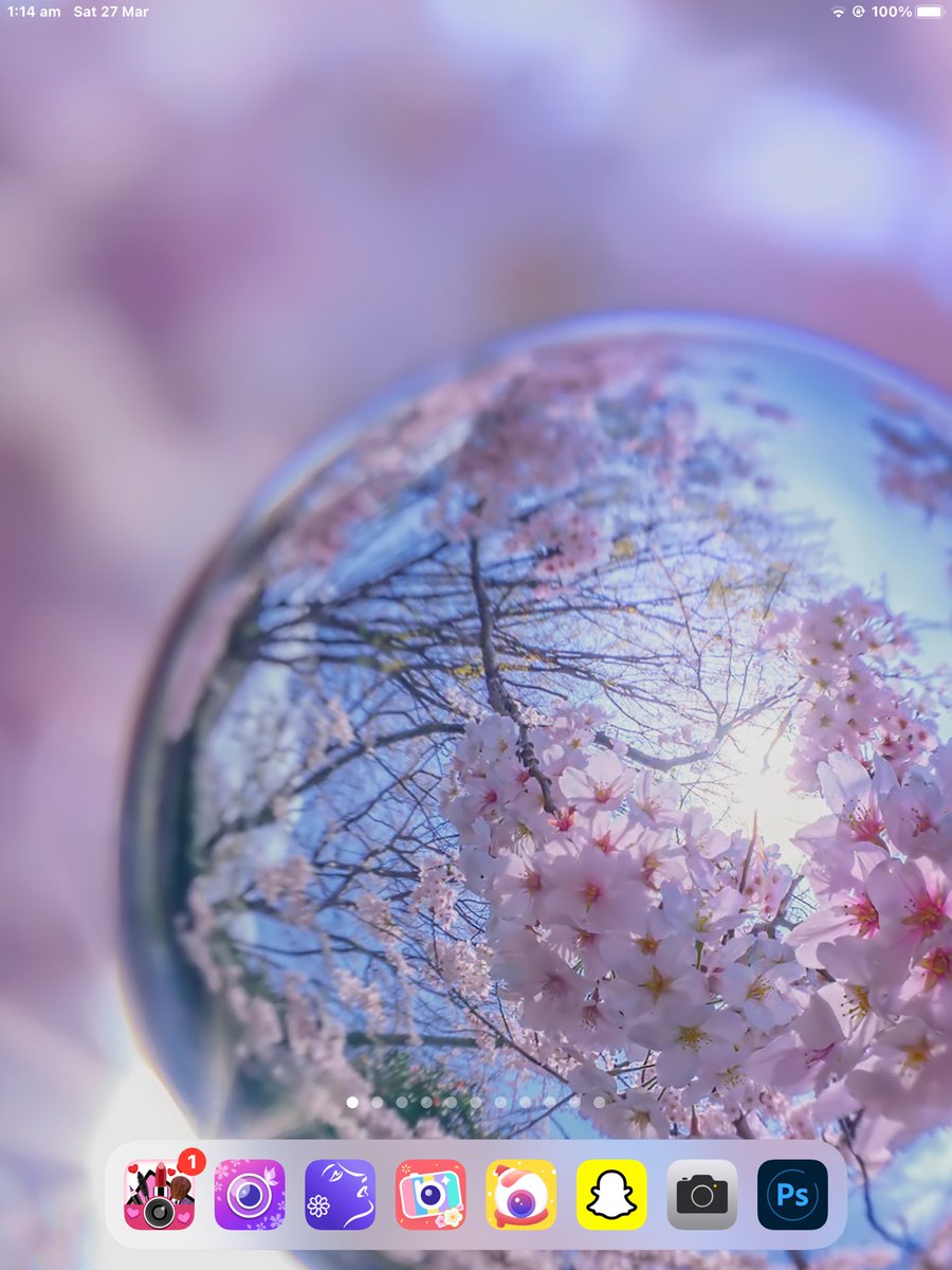 GlediBlog's tweet photo. @KAGAYA_11949 Amazing photos. 🤩I already used them as my background on my iPad. CREDITS TO @KAGAYA_11949 
HAPPY SPRING EVERYONE!!! 🌸🌸🌸🌸 https://t.co/0ja0Z7TiJ5