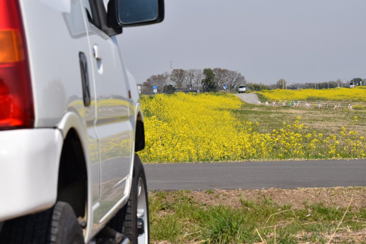 jointstrike2017's tweet photo. さくら
菜の花
ジムニー https://t.co/iLuuSxSJTt