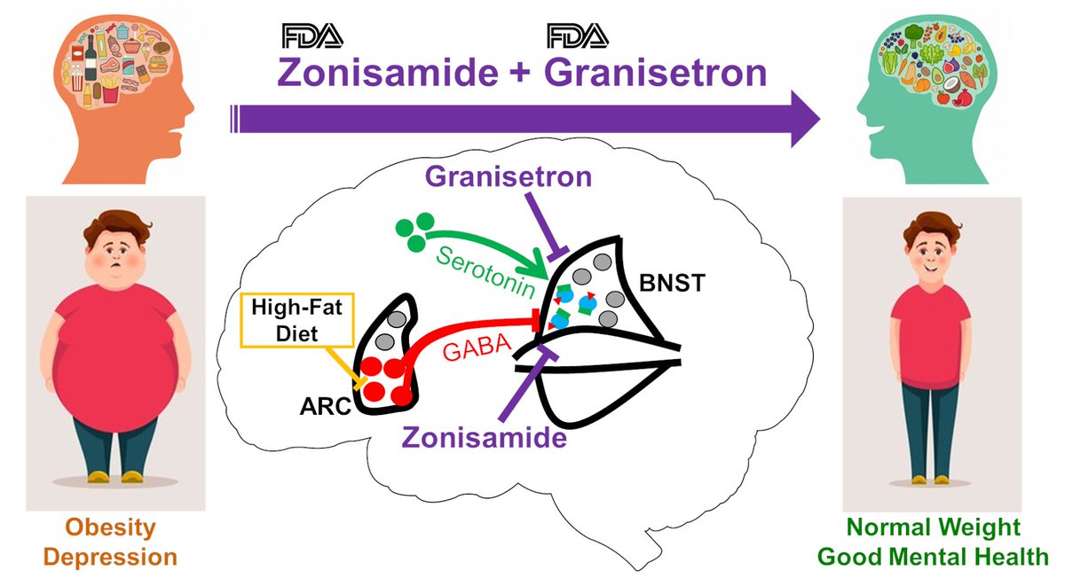 Wu_Lab_Baylor's tweet image. Today we published an article in the elite neuroscience journal “Molecular Psychiatry” reporting a new brain circuit and a robust therapy that may tackle coinciding obesity and depression. 
nature.com/articles/s4138…
@SpringerNat_RD @nresearchnews @SpringerNature @NatureNews @nature