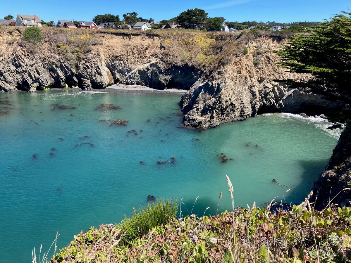 OPC_California's tweet photo. We are hiring up to 5 interns for our summer internship program! Spend the summer helping protect California's coast and ocean and advancing equity in all our work. Apply by April 19. https://t.co/on8gQjsShB https://t.co/FRtticb4HF