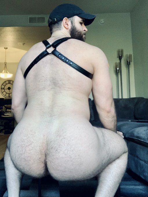 New harness from https://t.co/SCMQ0DyitX   Which side are you tuggin' on? 😈😈 https://t.co/63Zf9w0gyh