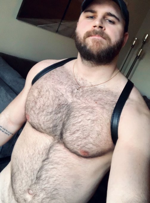 New harness from https://t.co/SCMQ0DyitX   Which side are you tuggin' on? 😈😈 https://t.co/63Zf9w0gyh