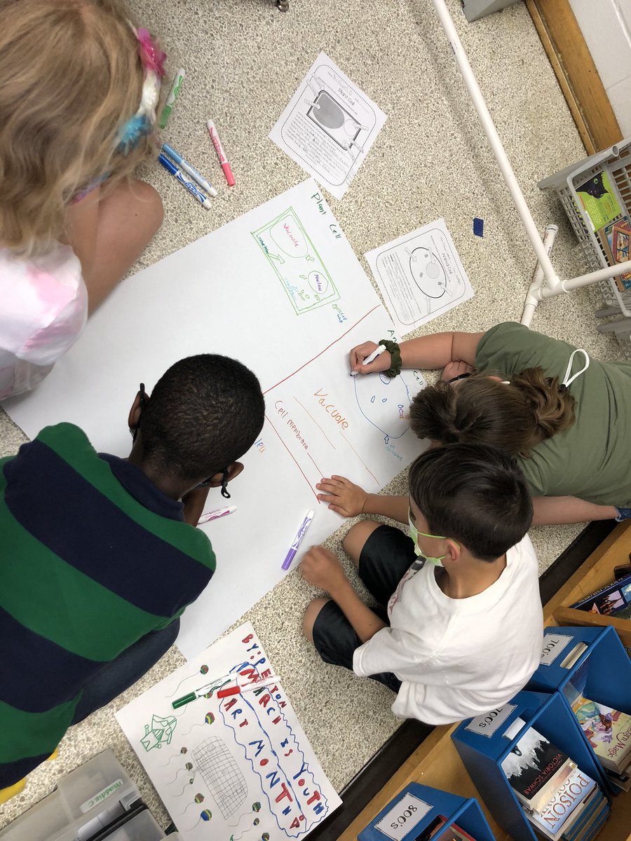WellonsMadison's tweet photo. Using teamwork to create animal and plant cell anchor charts! @RosemontForest https://t.co/iDD0l5iQ5D