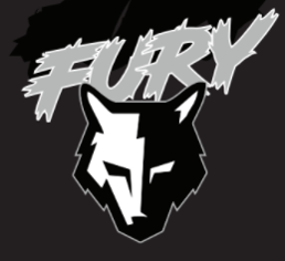 FuryHanover's tweet photo. Team Fury Informational Clinic, Sat 3/27, 10-11:30 AM at Courthouse Park. Come out to discover more about our exciting Middle School program https://t.co/i8ika1su1K