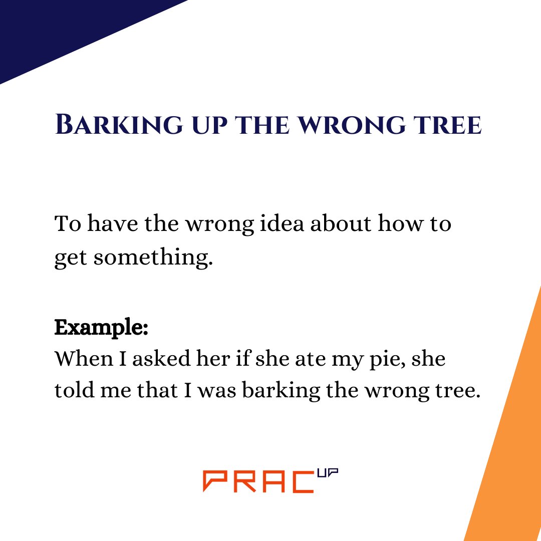 Idiom of the day- Barking up the wrong tree

#englishconversationclub #englishidioms #english #englishhome #englischlehrerin #onlineenglish #onlinelearning #idiomsandphrases #idiomsproverbs #englishtips #englishmeaning #englishgram #englishgrammar #vocabulary #communication