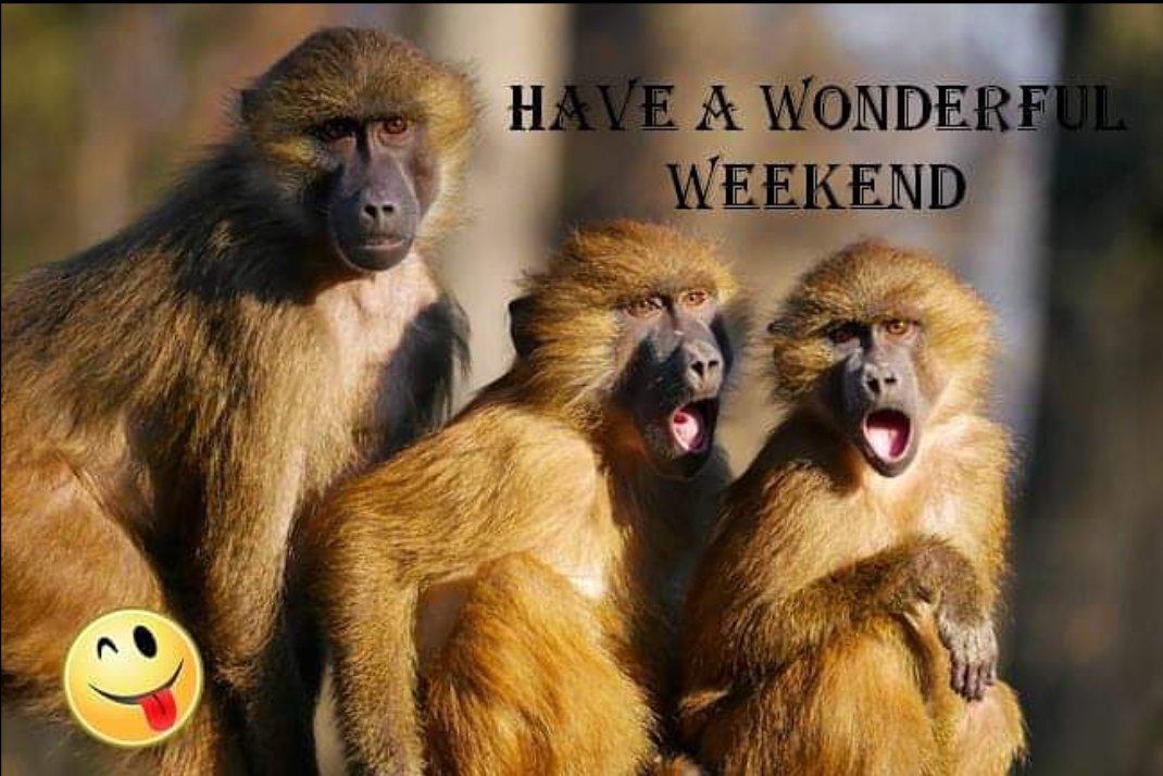 Think outside the box this weekend, don't just go for smiles 🙂😊😀 go for jaw dropping moments 😲 #BeYou #BeDifferent   #CreateTheFuture have a good one!! #weekendvibes