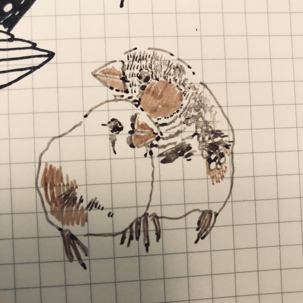 らくがきんか 