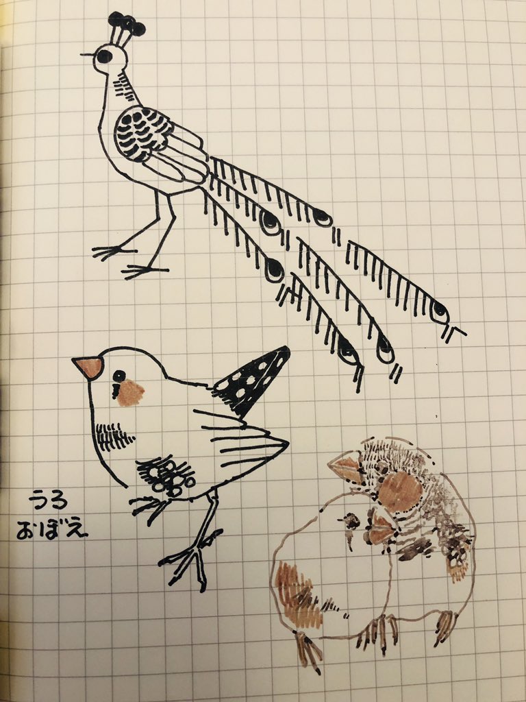 らくがきんか 