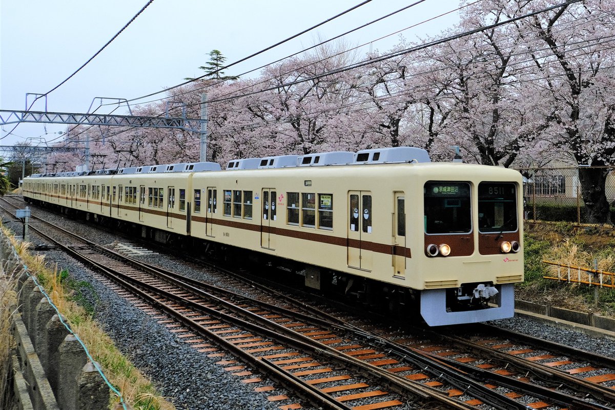 mtlove_800_andd's tweet photo. 2021年3月25日(木)午前の新京成電車撮影記録
復活塗装の8000形が、22日(月)に続いてまた、終日運用に入っていたので、撮影しに行って来ました。
59レ、83レ
#8512F
#新京成電鉄8000形
#新京成電鉄 https://t.co/DWxjQquylI