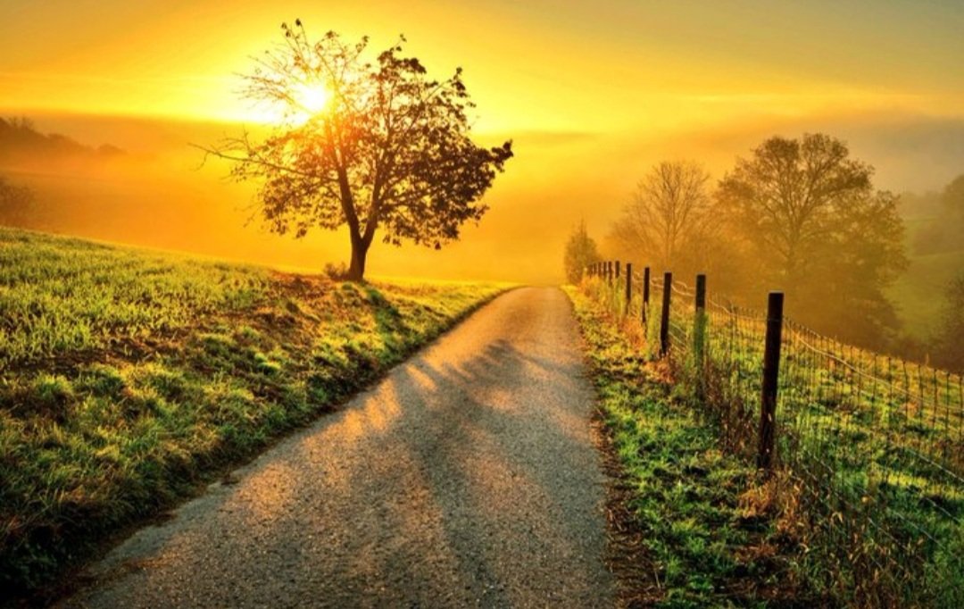 abwabw656's tweet photo. يّـاربَ ؛ أرزق گل قلب بمَا يتمنْى منْ خَير الدنْيا و الٱخره
*_صباح ﺎﻟﺧﯦڒ _*💕 https://t.co/X8gVHPxu16