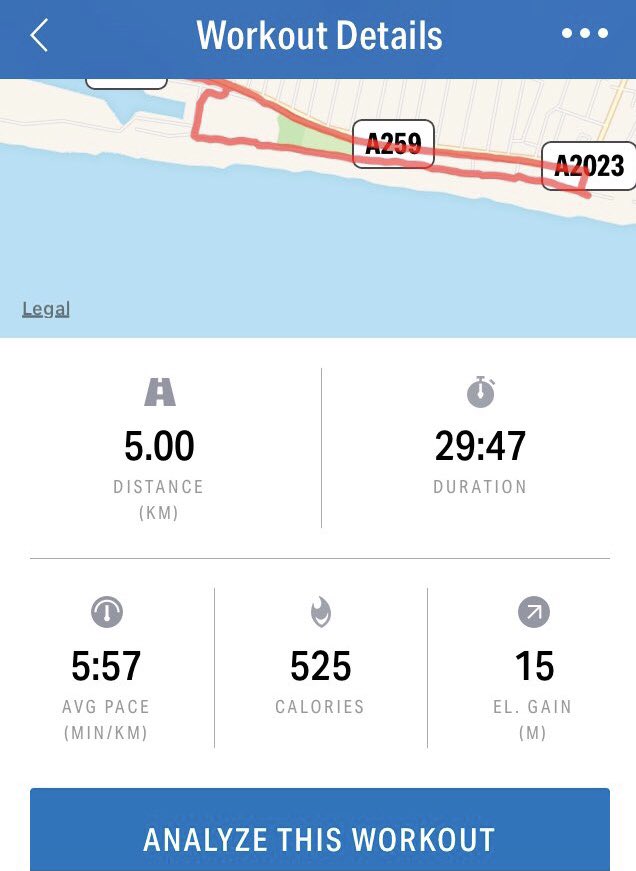 Steve_T_online's tweet photo. Glorious weather for a 5k run on #Hove seafront - thought of you @KarenHaward and @mdrakes1 #runchat #needtoliedown https://t.co/wNUPr0SuAu