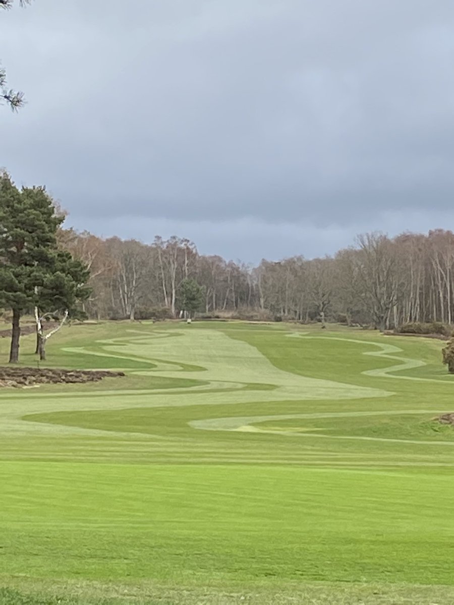 Amazing definition already on the new 2nd fairway. Looking forward to letting our members on it next Monday.