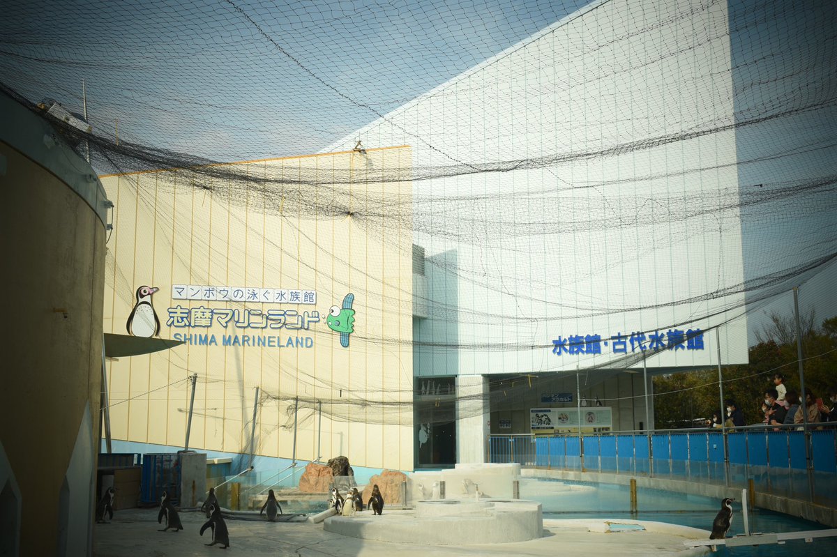 shark1trainer's tweet photo. 51年間という長い間お疲れ様でした。
初めての実習先でおかげさまで
水族館飼育員になれました。
ありがとうございました。
そしてお疲れ様でした。 https://t.co/2yWGLNUFsh