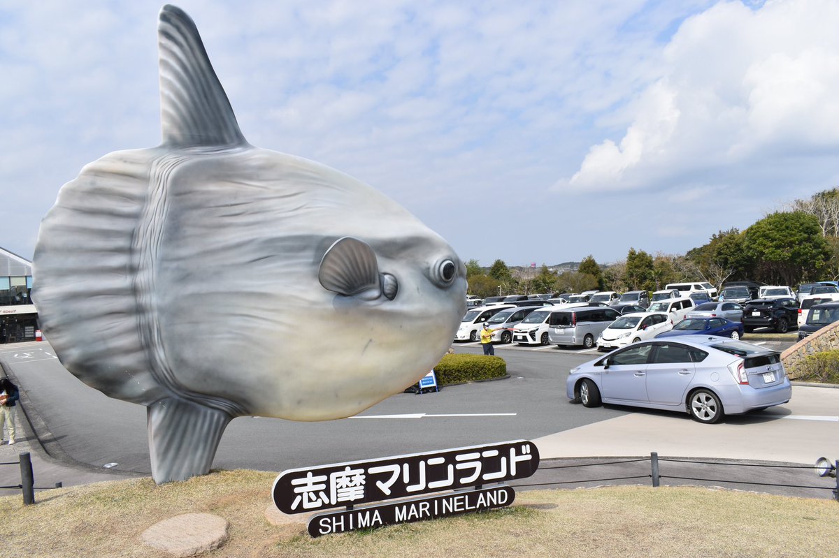 shark1trainer's tweet photo. 51年間という長い間お疲れ様でした。
初めての実習先でおかげさまで
水族館飼育員になれました。
ありがとうございました。
そしてお疲れ様でした。 https://t.co/2yWGLNUFsh