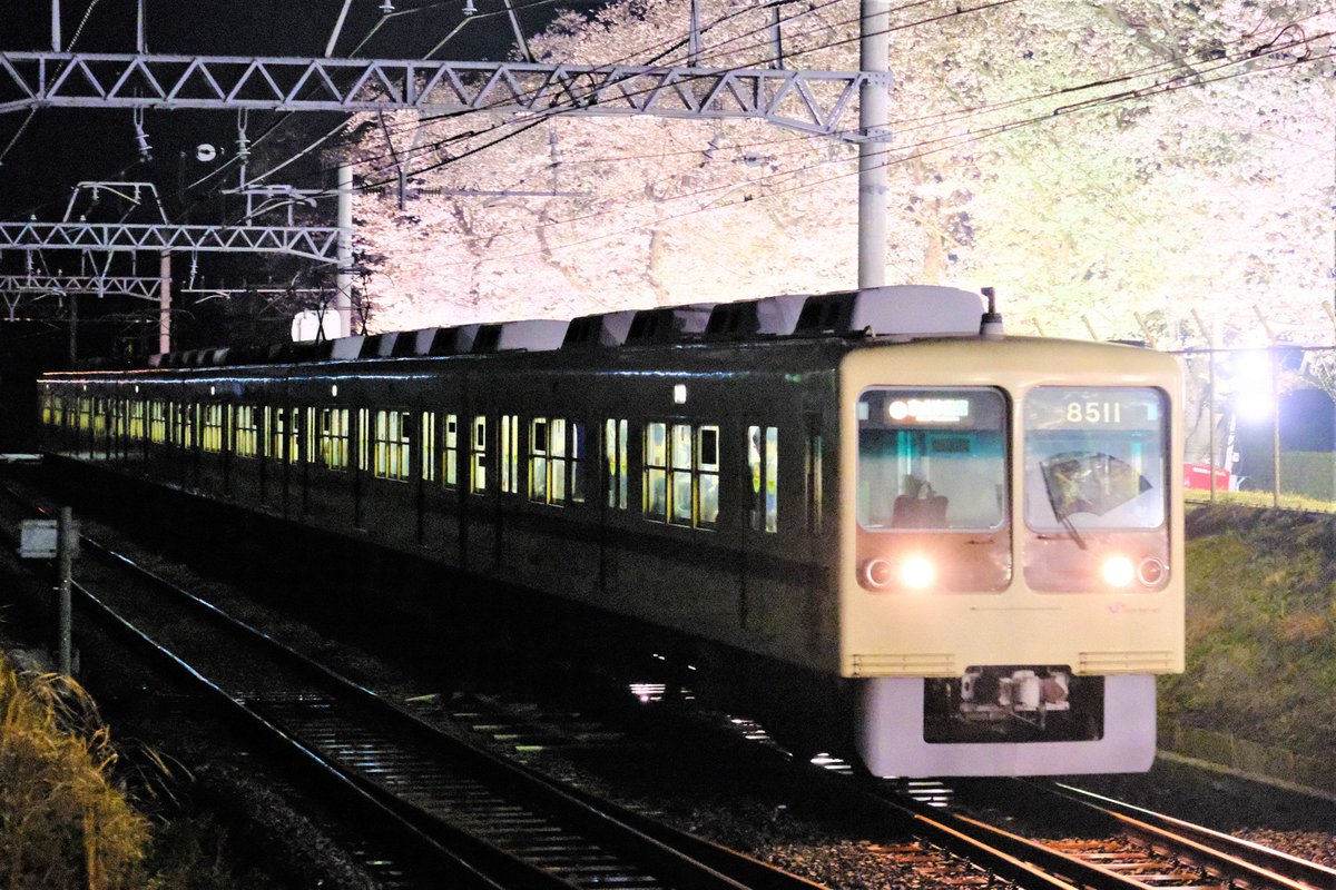 mtlove_800_andd's tweet photo. 2021年3月25日(木)夜の新京成電車撮影記録
復活塗装の8000形が、22日(月)に続いてまた、終日運用に入っていたので、撮影しに行って来ました。
149レ、158レ、169レ
#8512F
#新京成電鉄8000形
#新京成電鉄 https://t.co/RAEnoQ8Yw8