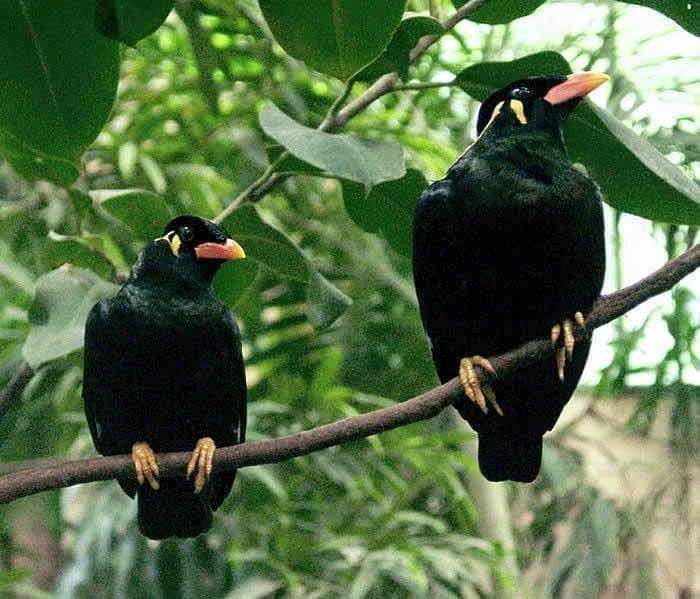 hossain_mita tweet picture