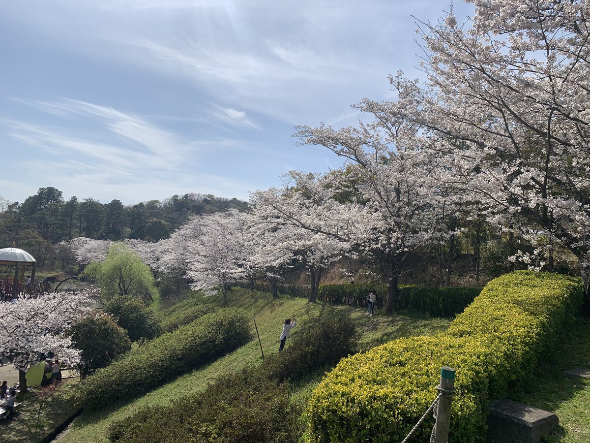 Ipeg 近畿大学 生物理工学部 生物環境部 Bost Ipeg Twitter