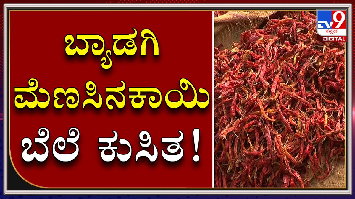 tv9kannada's tweet photo. The Sharp Fall In The Byadgi Chilli Price Has Left Farmers In Huge Shock
Video Link ► https://t.co/lS5SfF6JBY
ಬ್ಯಾಡಗಿ ಮೆಣಸಿನಕಾಯಿ ಮಾರುಕಟ್ಟೆಗೆ ಹೊರ ರಾಜ್ಯಗಳಿಂದ ಮೆಣಸಿನಕಾಯಿ, ಕುಸಿದ ಸ್ಥಳೀಯ ಮೆಣಸಿನಕಾಯಿ ಬೆಲೆ
#TV9Kannada #Havery #Byadagi #ChillyMarket #Farmers #ChiliNoRate https://t.co/fho8MseOLp