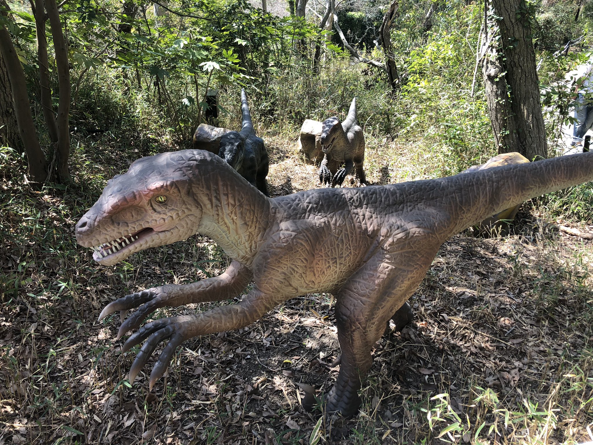 主婦まち探検隊 ライター ソレキタnet グリーンパークに恐竜が出現 北九州市 グリーンパーク 恐竜 T Co Jl6dvhfuc0 Twitter