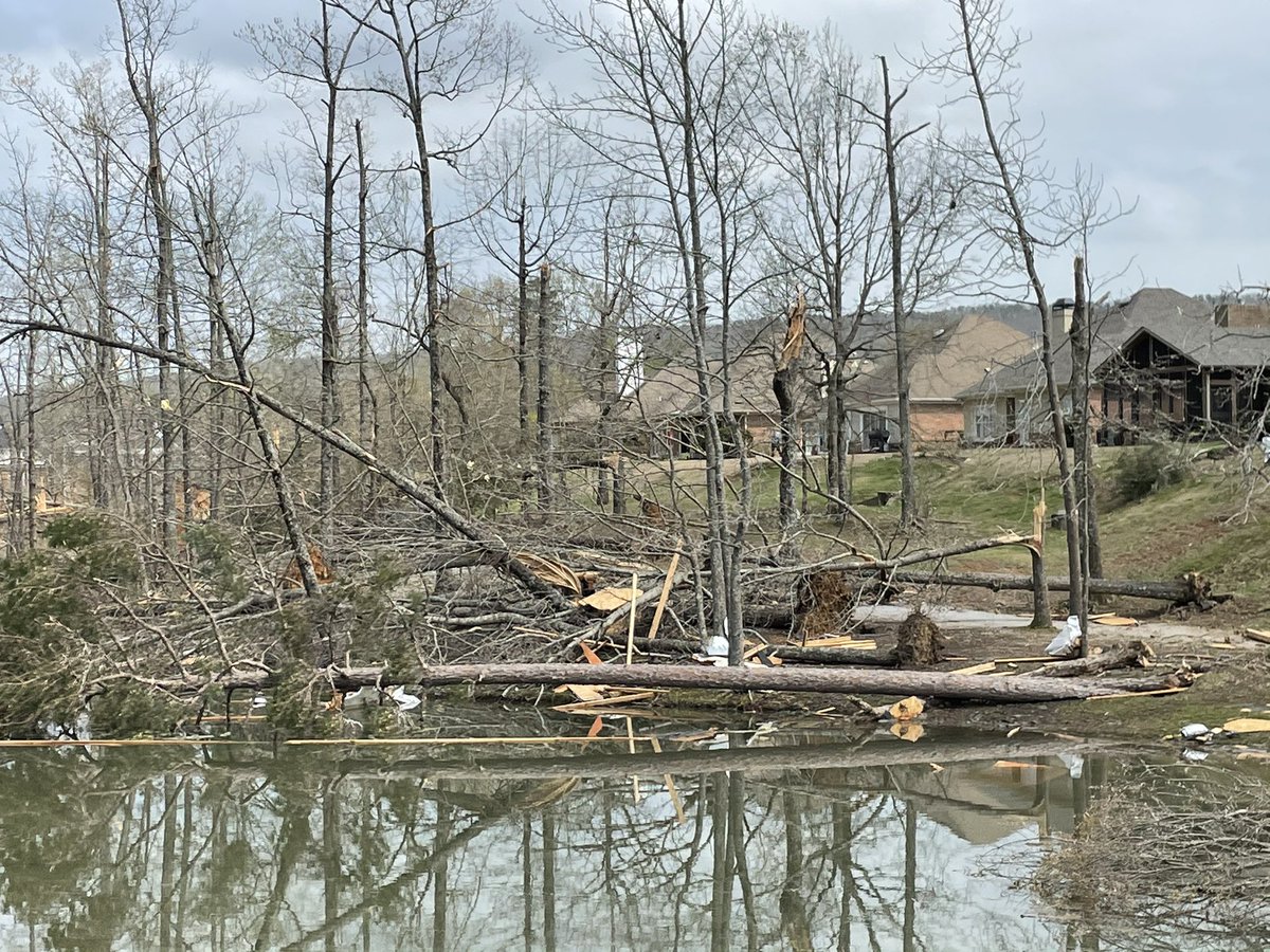 caraokee82's tweet photo. @WVTM13 We survived the tornado in Greystone Farms. Here is the heartbreaking aftermath. https://t.co/rmH4xmcedj