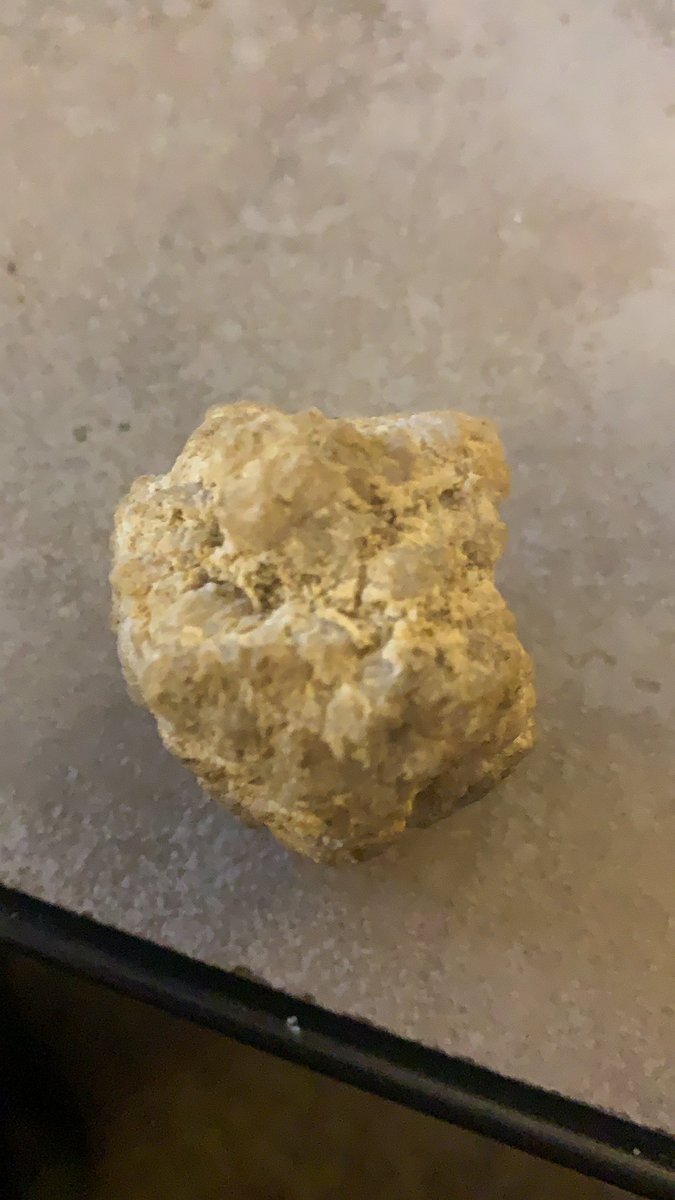 HoboHernandez's tweet photo. This is my personal support rock. Whenever this rock isn’t in my possession bad things happen to me. https://t.co/XfOeGFYFJ7
