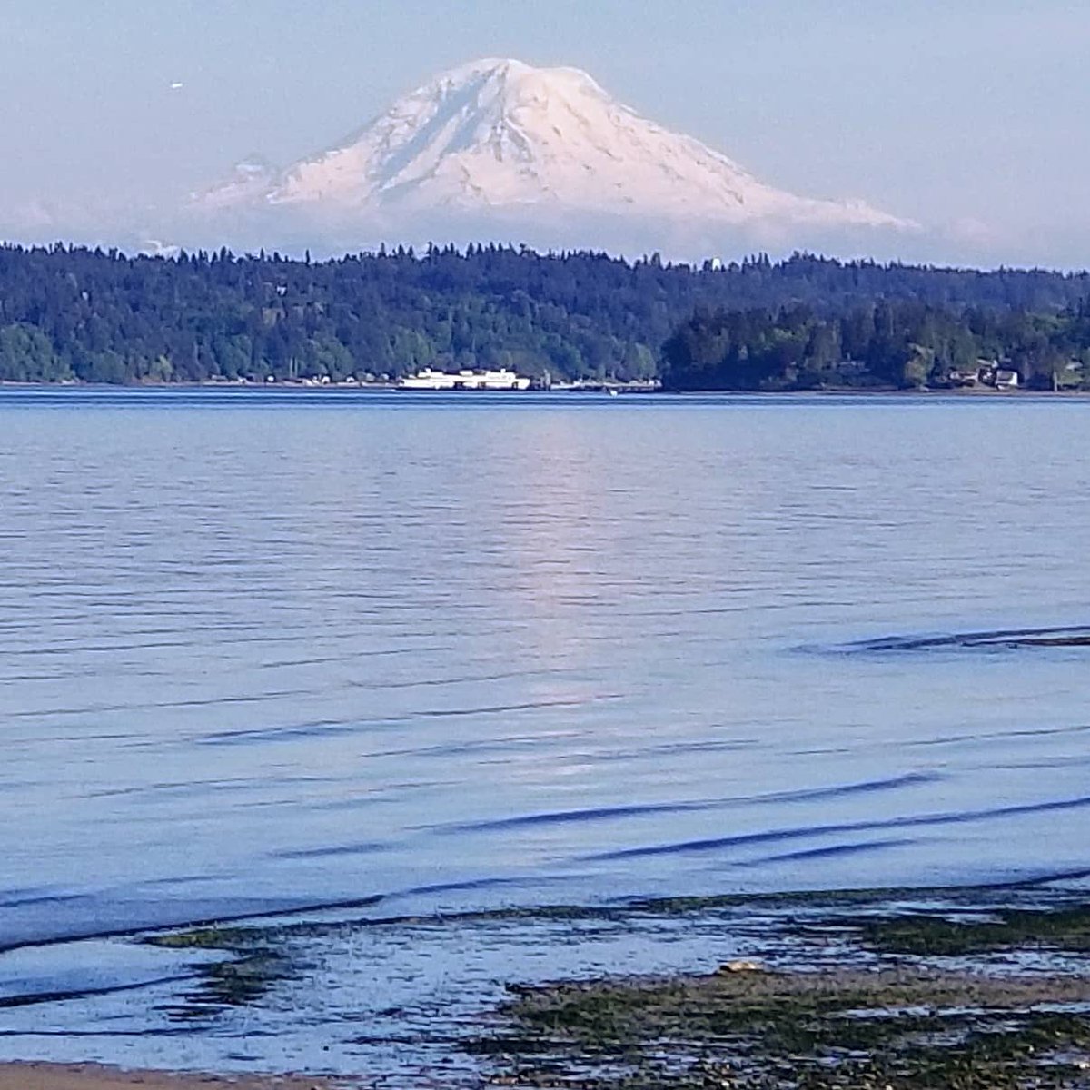 BFecooutfitters's tweet image. Iconic Mt. Rainier and Washington State ferry. From every angle, this mountain takes your breath away! 🗻

#pnw #washingtonstate #explorepnw #mtrainier #views #Beach #NaturePhotography