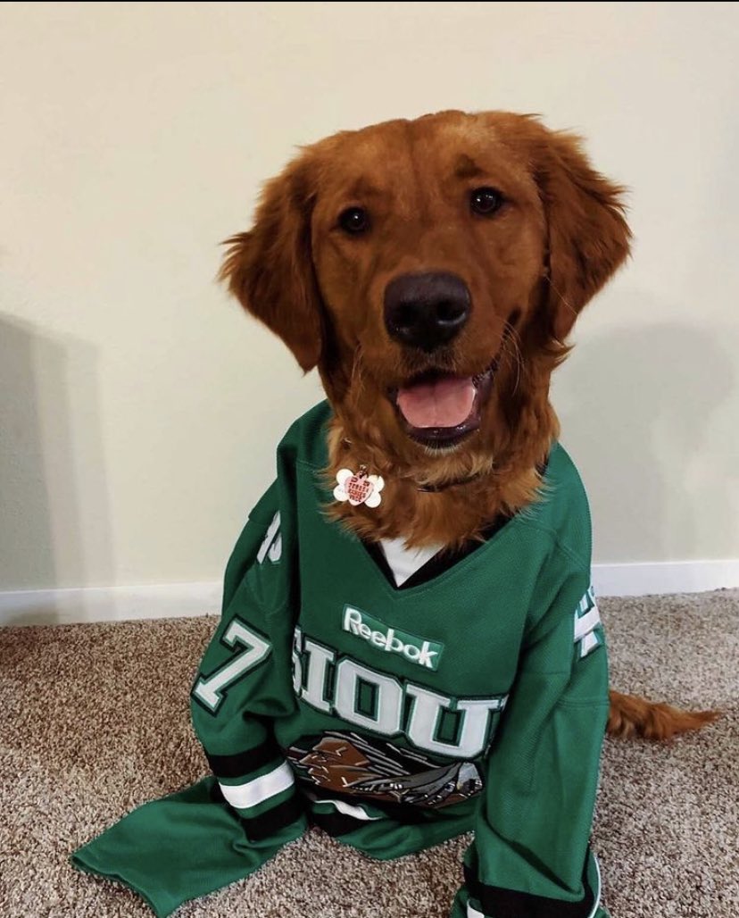 martinhaley24's tweet photo. @AIC_Hockey I got you fam #thanksforcoming https://t.co/Mm3AgI5y7D