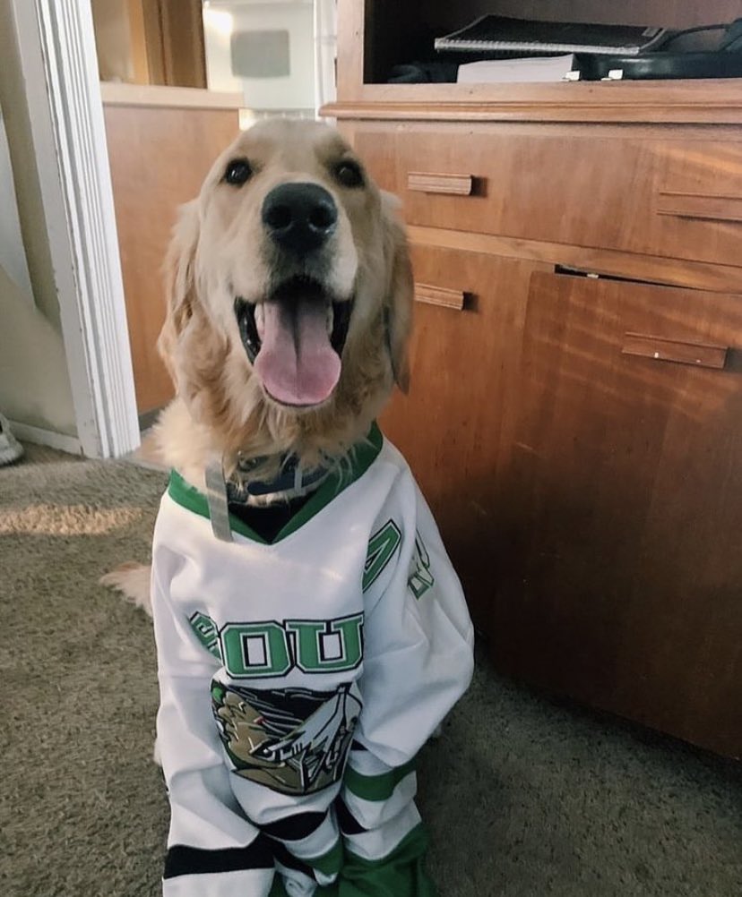 martinhaley24's tweet photo. @AIC_Hockey I got you fam #thanksforcoming https://t.co/Mm3AgI5y7D
