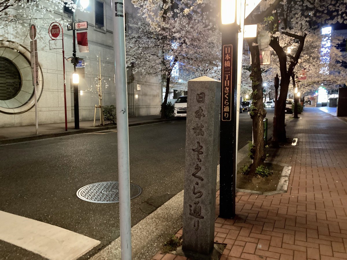 mats_K's tweet photo. East Asia, Japan, Tokyo
Midnight Tokyo Station and cherry blossom street near the station. It’s the best season for 花見 (cherry-blossom viewing) !
* Please write "mats_k" (the username in the livestream chat) on the wooden board if the photos are selected.
#HaatoWWTourGuide https://t.co/0cMQvuAOUt
