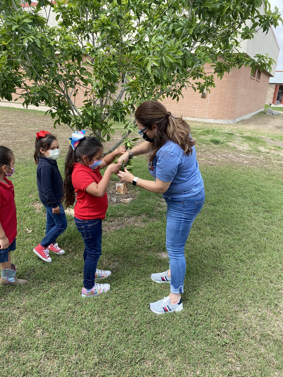 villarealhawks1's tweet photo. Mrs. Guerrero’s class did a fabulous job on their Project Lead the Way bird feeders. PLTW - Project Lead The Way #losfresnospltw #pltwdistancelearning @PLTWorg https://t.co/jCK3D68pgo