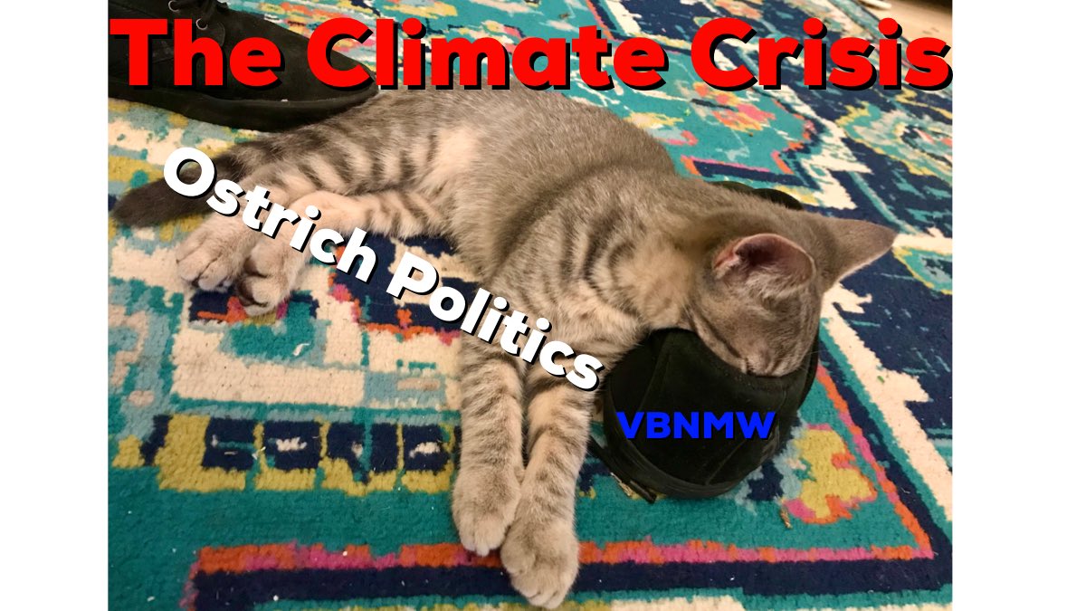 LeafLee6's tweet photo. @LehighGreen @TurboKitty @prolebot69 @YoungGreenParty @since1979afc @stimmo @BukischI @EthicalRenewal @talknationradio @JessicaFreed8 @The_Void_Pod @LongMorrowBand @NikkiJCameron @deBASHmode @JustaCoinToss @hoffman4US2020 @dixieslegacy @jonnyboyca @RevCom #greenpets reporting as well https://t.co/txznsWQots