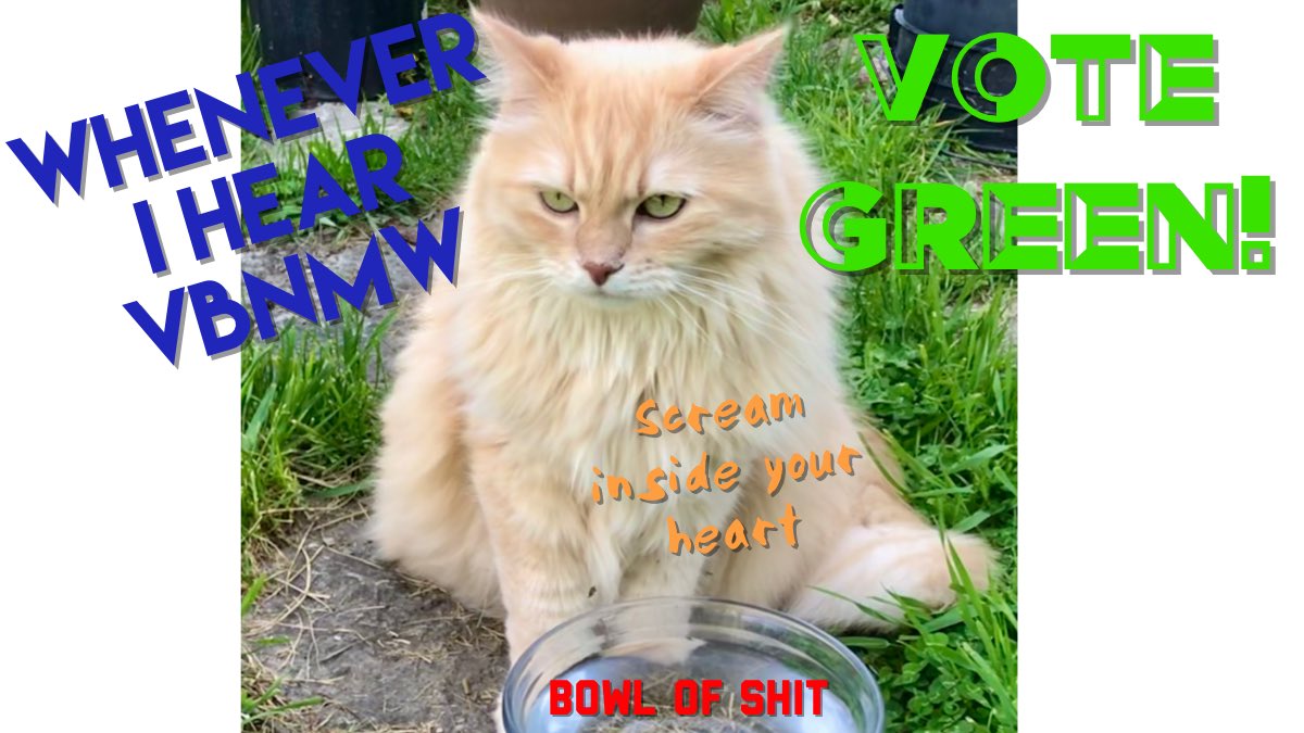 LeafLee6's tweet photo. @LehighGreen @TurboKitty @prolebot69 @YoungGreenParty @since1979afc @stimmo @BukischI @EthicalRenewal @talknationradio @JessicaFreed8 @The_Void_Pod @LongMorrowBand @NikkiJCameron @deBASHmode @JustaCoinToss @hoffman4US2020 @dixieslegacy @jonnyboyca @RevCom #greenpets reporting as well https://t.co/txznsWQots