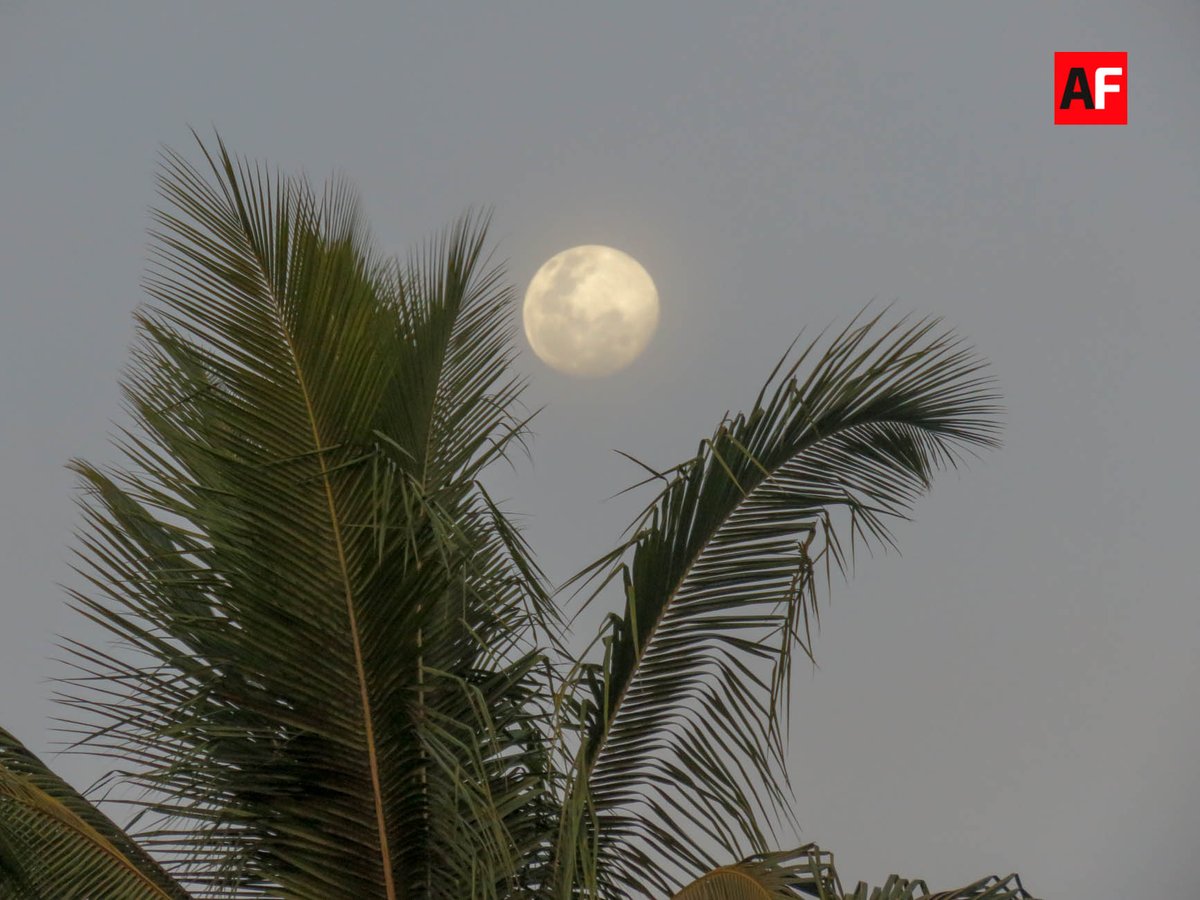 AFmedios's tweet photo. Noches de Luna
#AsíEsColima #VisitaColima #Colima #PaseandoEnColima #Atardeceres #LoMejordeColima #Paisajes #AmoColima #MiColimabello #EsteEsColima https://t.co/cfGbNxvLW8