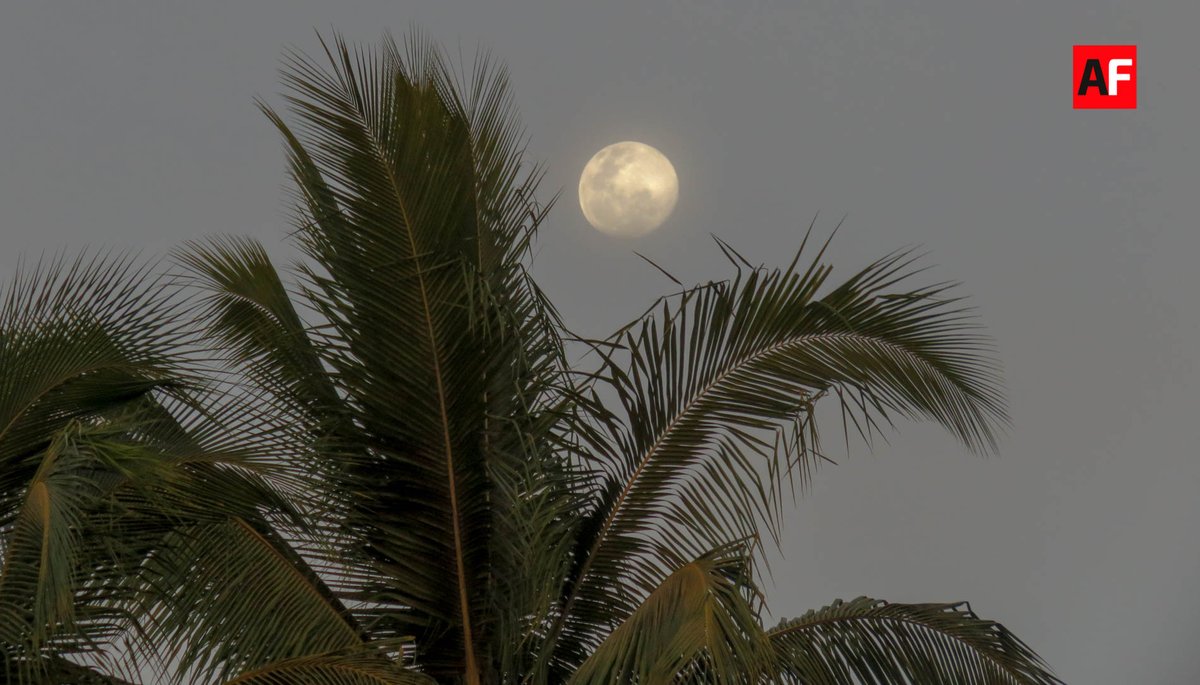AFmedios's tweet photo. Noches de Luna
#AsíEsColima #VisitaColima #Colima #PaseandoEnColima #Atardeceres #LoMejordeColima #Paisajes #AmoColima #MiColimabello #EsteEsColima https://t.co/cfGbNxvLW8