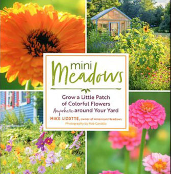 GardenJunkie1's tweet image. Mini Meadows is a short but fun read, with beautiful photos to complement the text. Mini Meadows: Grow a Little Patch of Colorful Flowers Anywhere in Your Yard by Mike Lizotte - Book Review bit.ly/2MiH1Co #gpreview #minimeadows