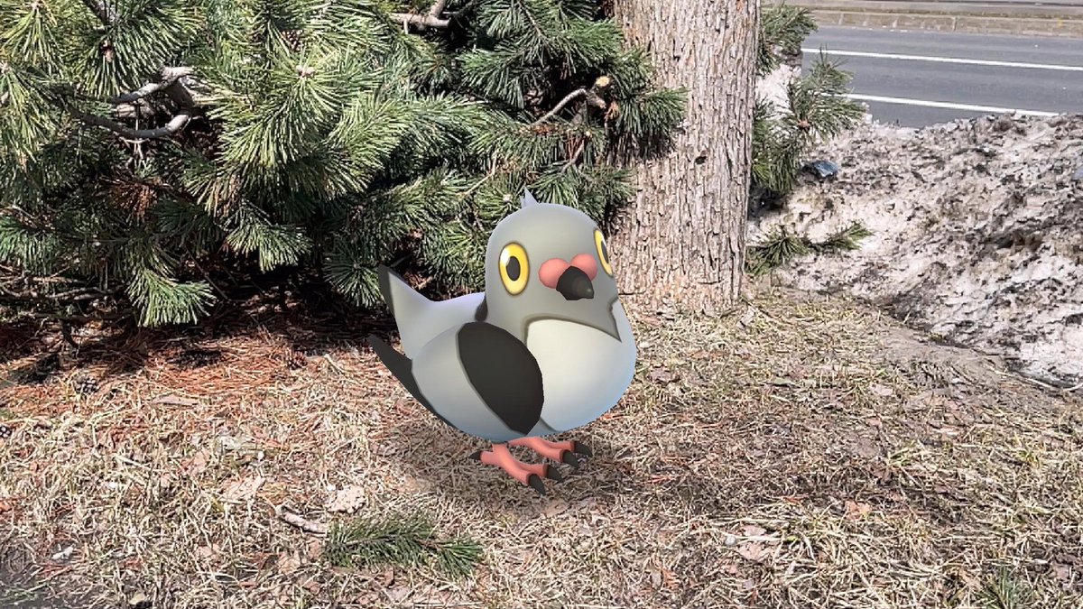 ci_ronnu_p's tweet image. トレ「なんかマメパトさんたくさん
           出るって聞いてたんですけど…？」

パト「そりゃあ、レア枠だもん。
           出ないよ。」
トレ「え？」

パト「ん？文句ある？」
#ポケモンGO #PokemonGO #ARPlus #PokemonGOAR #GOsnapshot #マメパト #パトパイセン #ウェザーウィークとは